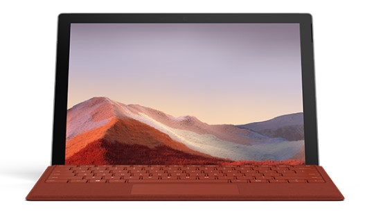 玛纳斯清洁和维护 Surface